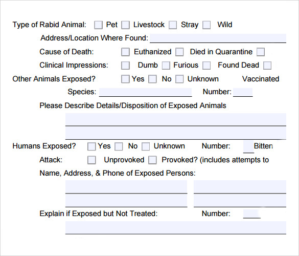 animal report template format3