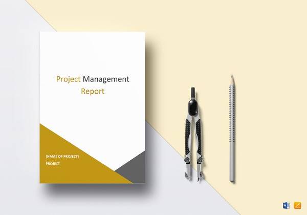 printable project management report template