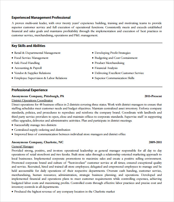 store executive resume format in word pdf