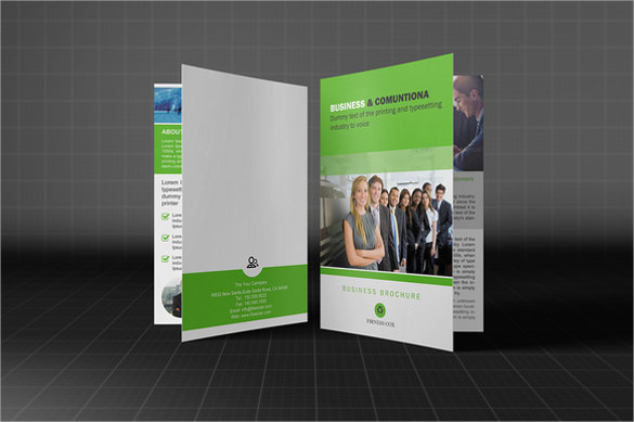 bifold business brochure 