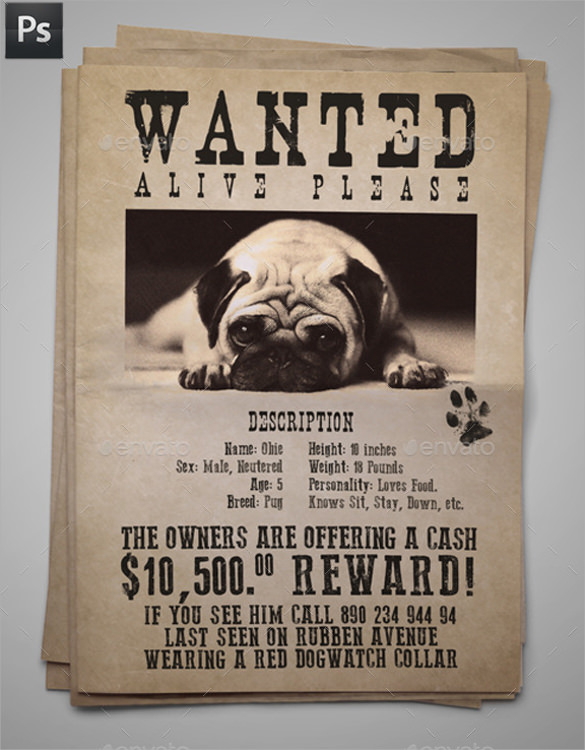 wanted lost dog flyer