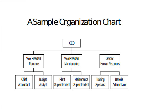 FREE 16 Sample Blank Organizational Chart Templates In PDF Google 