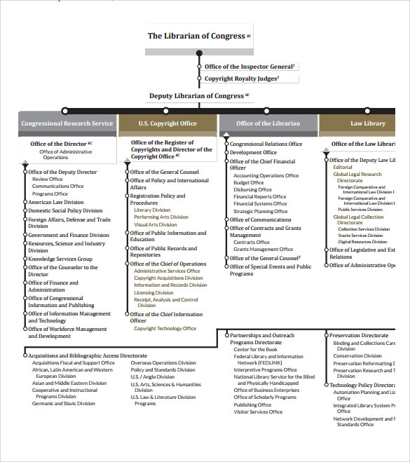 Law Firm Organizational Chart Template