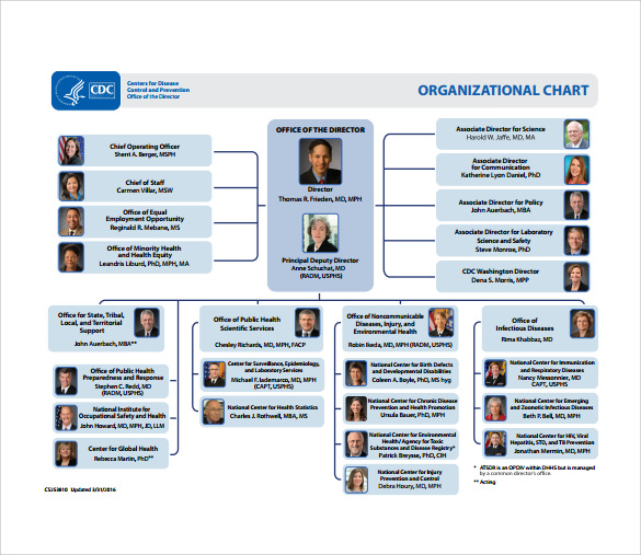 sample blank organizational chart