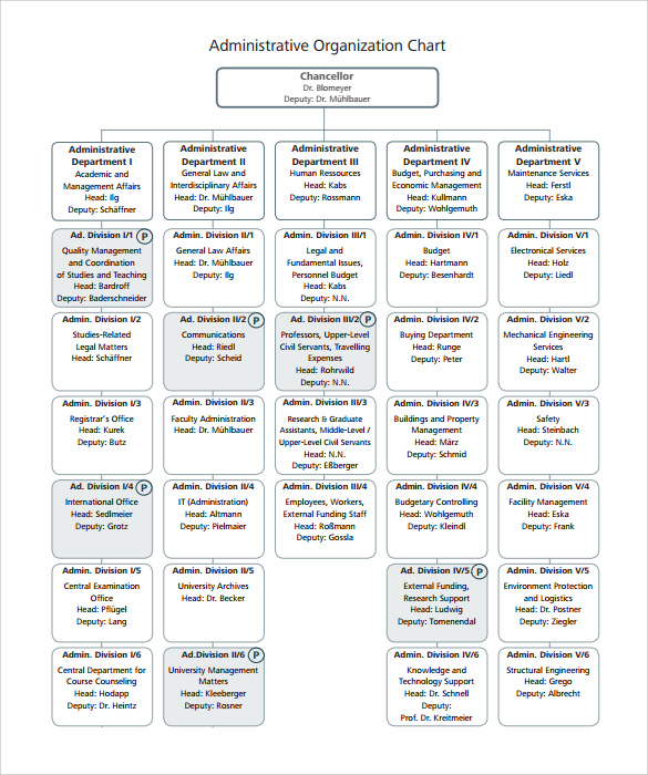 blank organizational chart free download