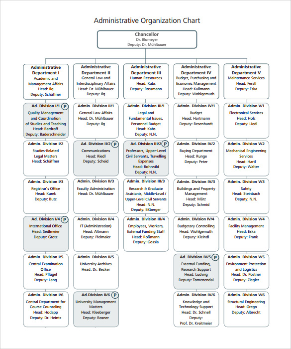 download organizational free format chart Blank Templates 9   Organizational Charts Sample