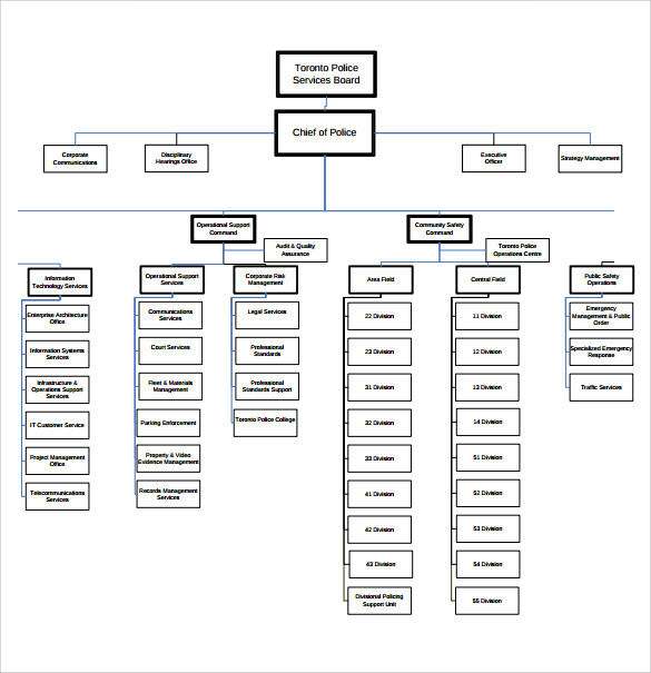 standard blank organizational chart