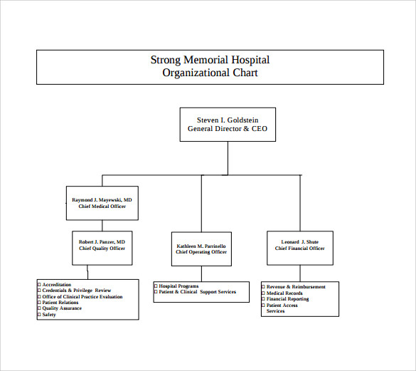 Healthcare Organizational Chart Template