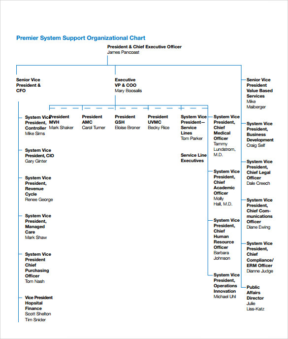 sample hospital organizational chart