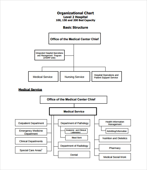 Hospital Organizational Flow Chart