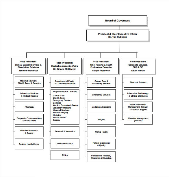 Typical Hospital Organizational Chart