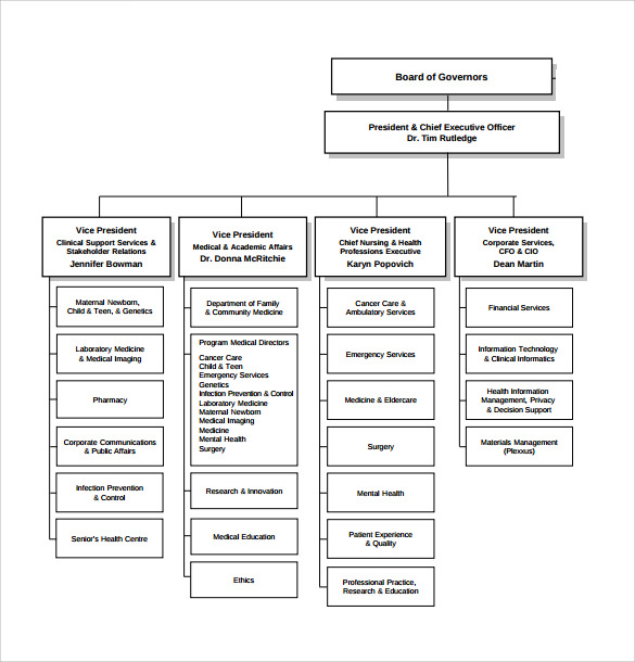 General Hospital Organizational Chart