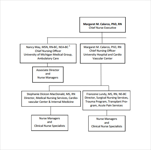 Ics Org Chart Template