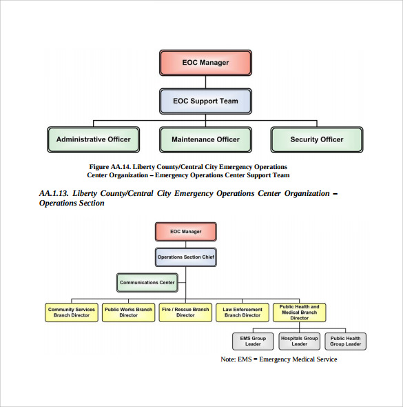 Clinic Organizational Chart Template