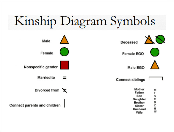 kinship diagram template symbols