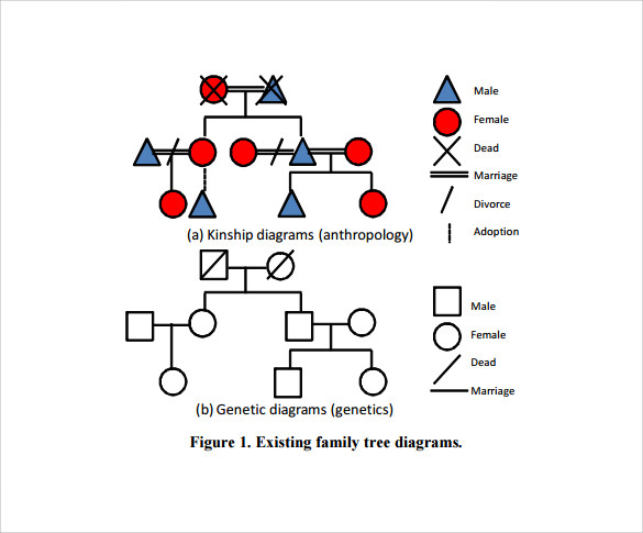 kinship diagram tree template