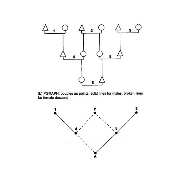 simple kinship diagram template
