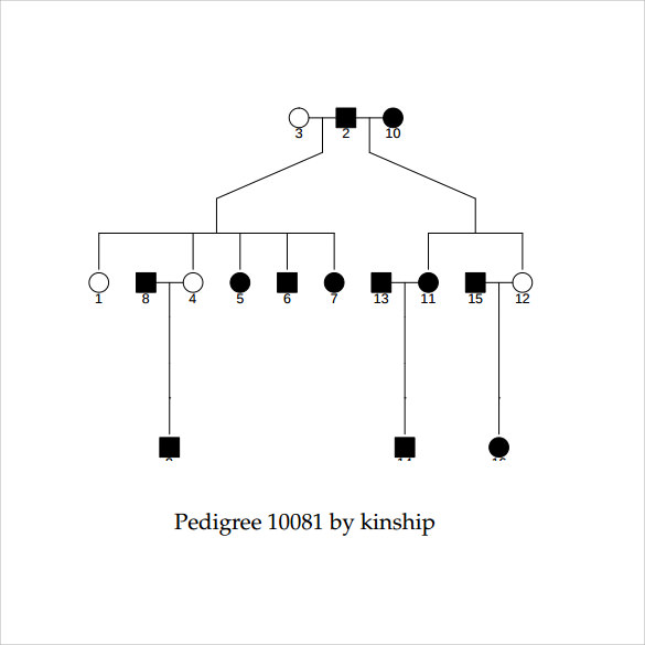 kinship diagram template pdf