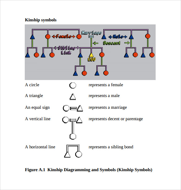 FREE 9+ Sample Kinship Diagram Templates in PDF MS Word