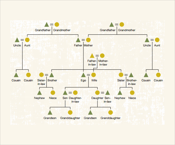 Free 9 Sample Kinship Diagram Templates In Pdf Ms Word