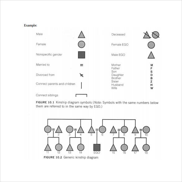 Sample Kinship Chart