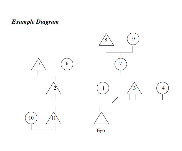 kinship diagram template creator