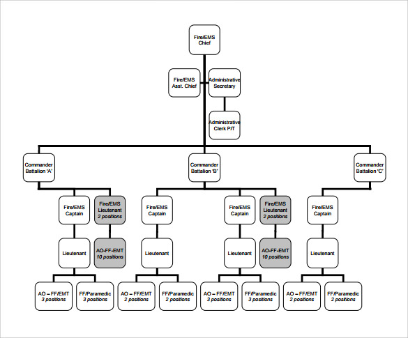 FREE 15+ Sample Fire Department Organizational Chart Templates in PDF