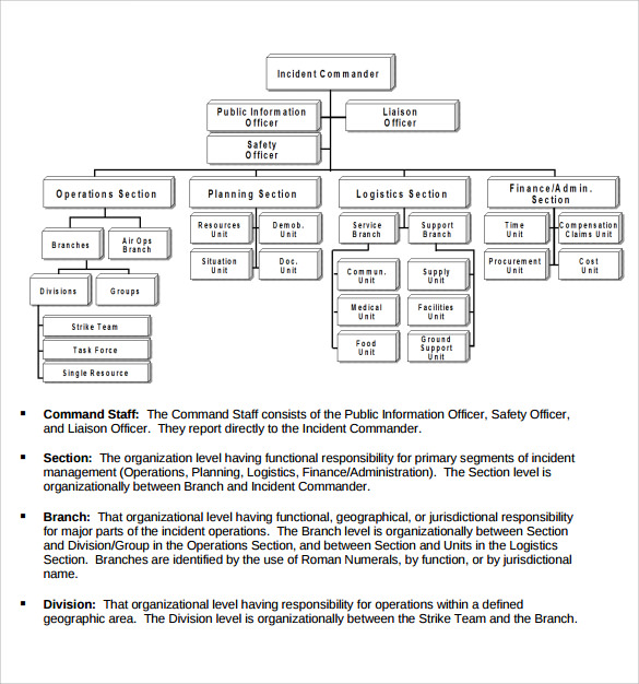 Organizational Chart Template Pdf