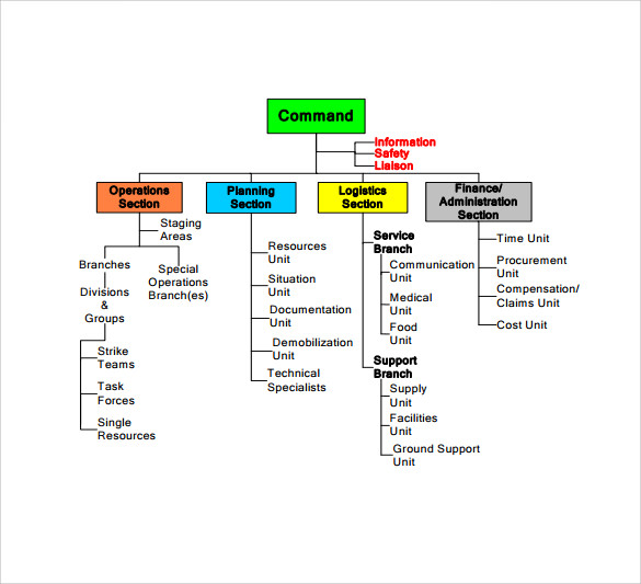 ics organizational chart example