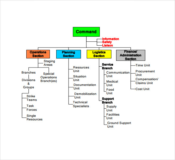 Ics Organizational Chart Template