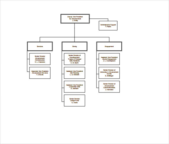 Non Profit Organizational Chart Template