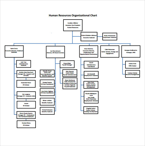 human resources organizational chart free pdf