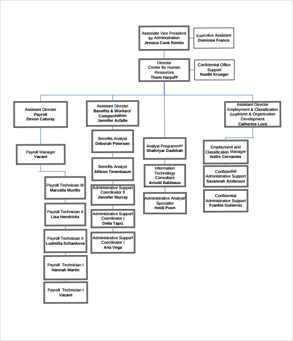 simple human resources organizational chart