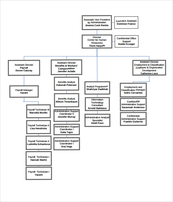 Human Resource Organizational Structure Chart