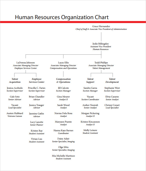 human resources organizational chart example