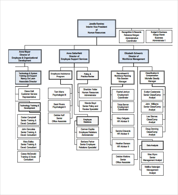 10+ Sample Human Resources Organizational Charts | Sample Templates