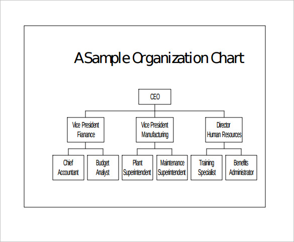 FREE 17+ Sample Basic Organization Chart Templates in MS Word | PDF