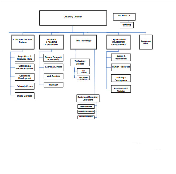 basic simple organization chart