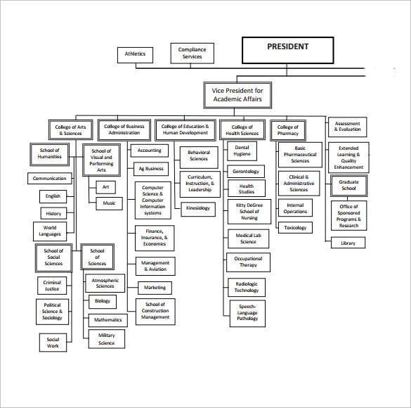 ulm organization chart