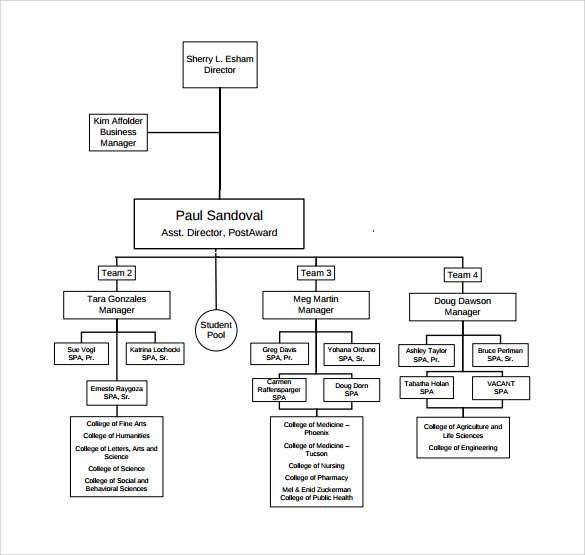 Free 14 Sample Project Organization Chart Templates In Pdf Ms Word