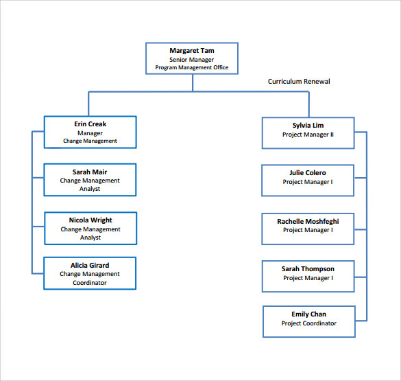 Project Team Organization Chart Template