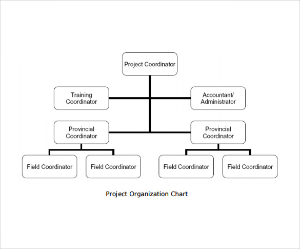 Hse Organization Chart Sample