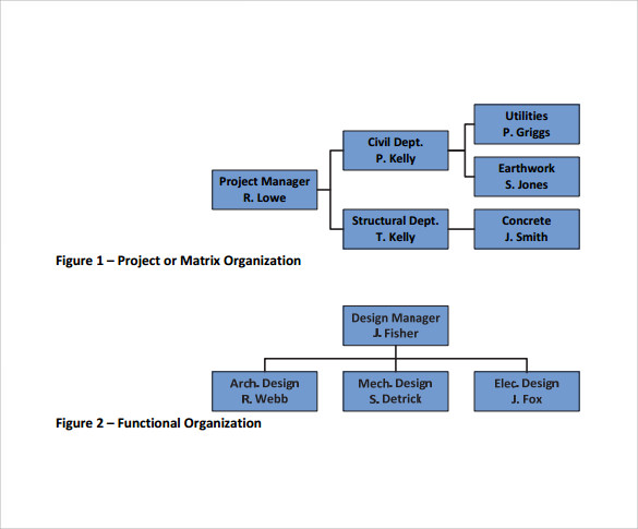 FREE 14+ Sample Project Organization Chart Templates in PDF | MS Word ...