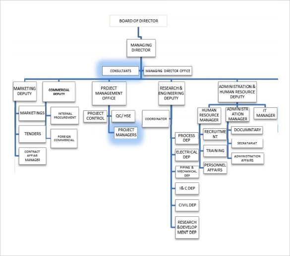 project management organization chart