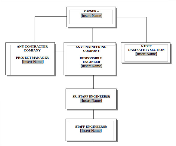 project organization chart in word