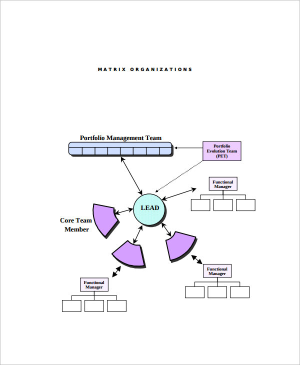 matrix management business organizational chart