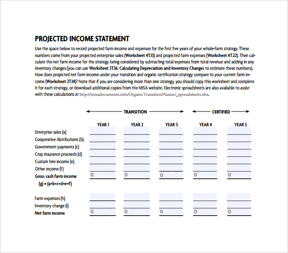 FREE 11  Projected Income Statement Templates in PDF MS Word