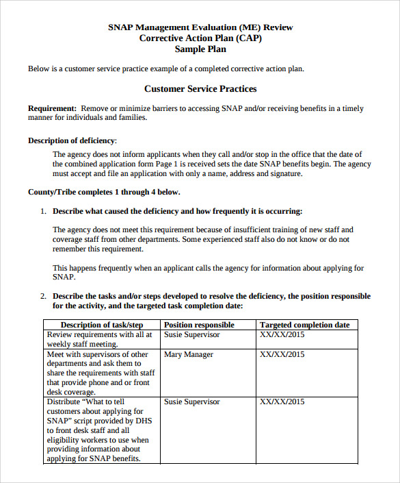 Sample Corrective Action Plan Template