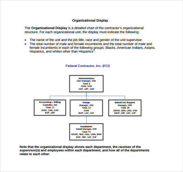 affirmative action programmetemplate