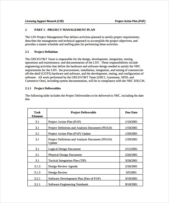 Action Plan Of Project Format